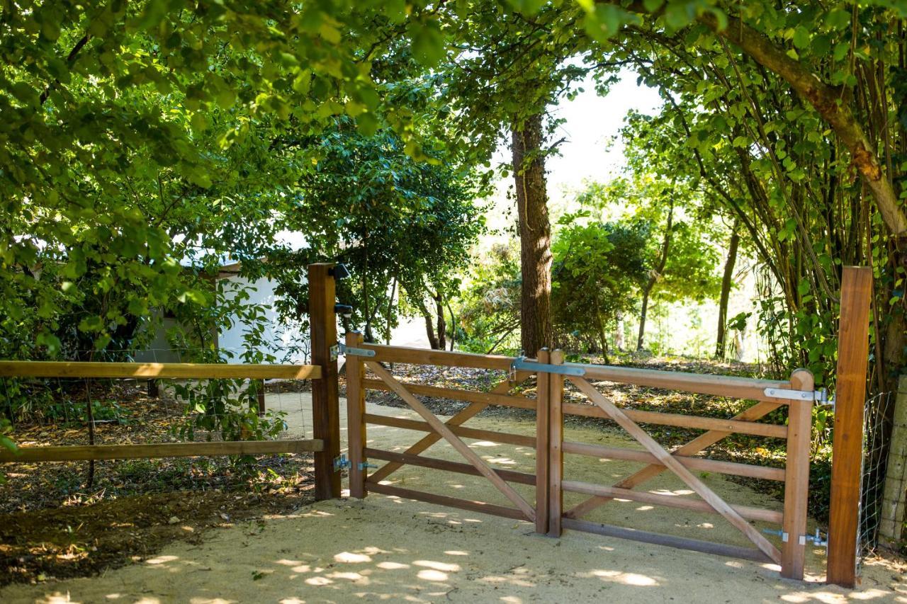 The Cabin Morris Holsbeek ภายนอก รูปภาพ